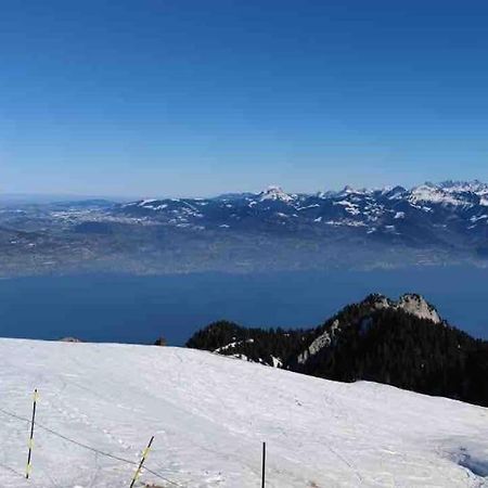 Studio Myrtilles Du Leman Vue Sur Lac Et Montagne Thollon-les-Memises Kültér fotó