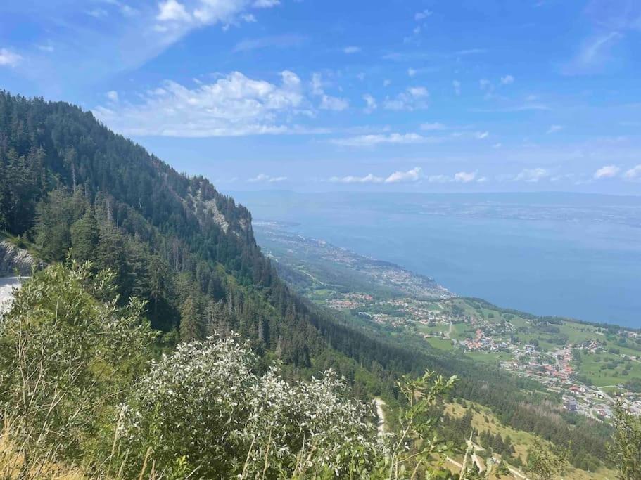 Studio Myrtilles Du Leman Vue Sur Lac Et Montagne Thollon-les-Memises Kültér fotó